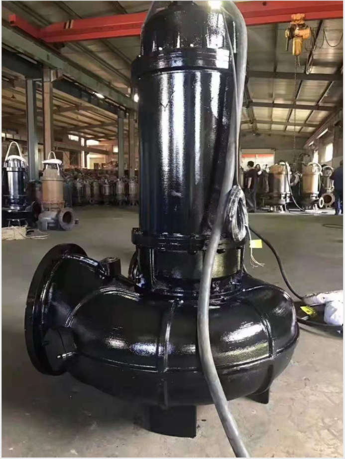 防汛工作要做好，威滬水泵不能少